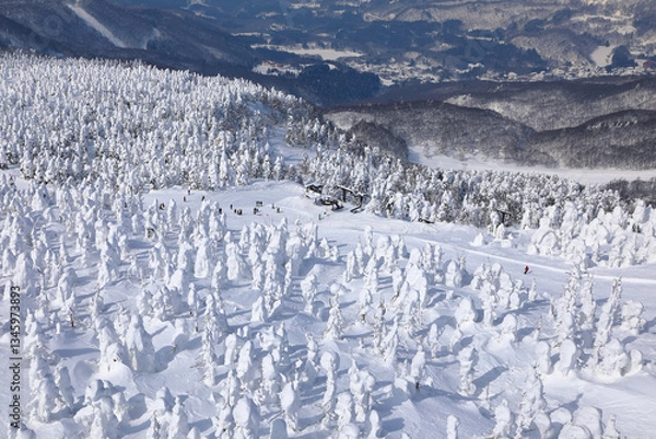 Obraz 蔵王の樹氷 ( 山形県 山形市 )