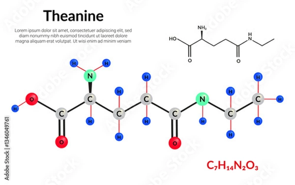 Fototapeta Theanine or L-theanine molecular structure formula, ball-and-stick model, suitable for education or chemistry science content. Vector illustration
