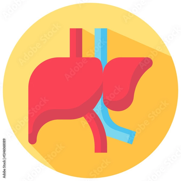 Fototapeta liver vector round flat icon