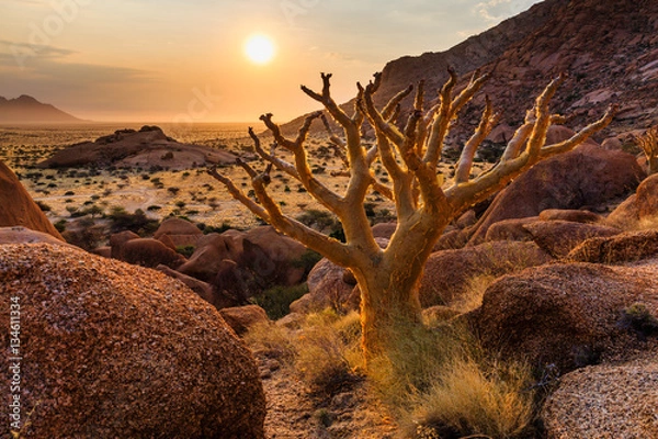 Fototapeta Grupa łysych szczytów granitowych - Spitzkoppe (Damaraland, Namibia)