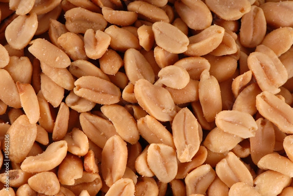 Obraz orzeszki ziemne, peanuts