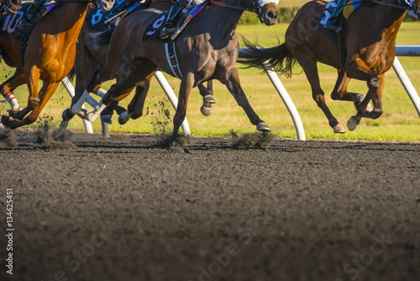 Fototapeta Horse Race colorful bright sunlit slow shutter speed motion effect fast moving thoroughbreds