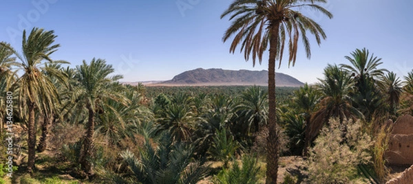 Fototapeta Panoramic view over oasis of date palms, Figuig, Morocco