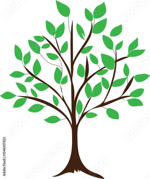 Fototapeta Tree with green leaves