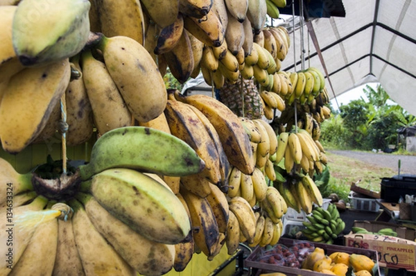 Obraz Hawaiian Fruit Stall