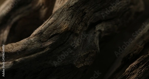 Fototapeta Close-up of a weathered driftwood with textured surface