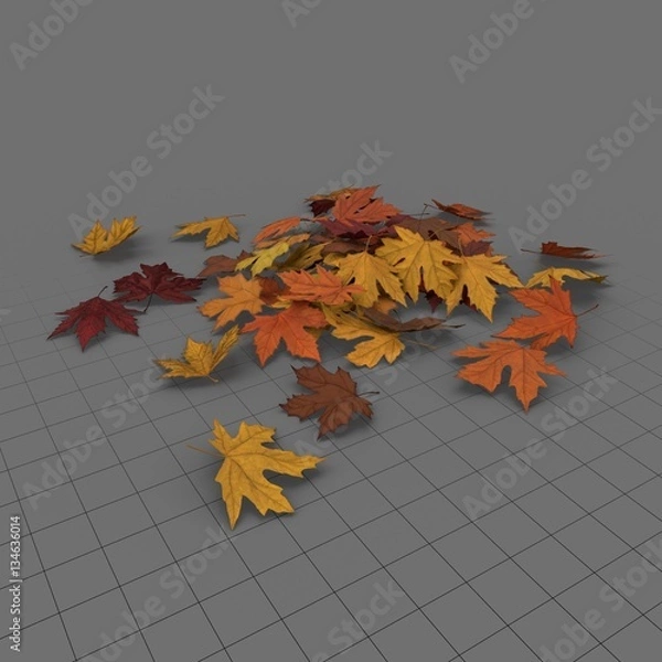 Fototapeta Leaves Maple 01