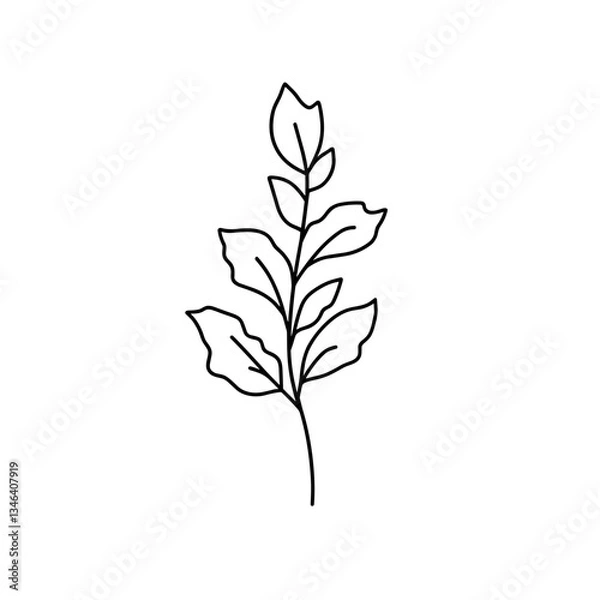 Fototapeta Minimalist line art of a single leaf branch in black on a white background with copy space