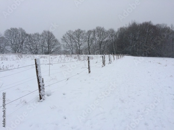 Fototapeta Weidezaun in verschneiter Naturlandschaft