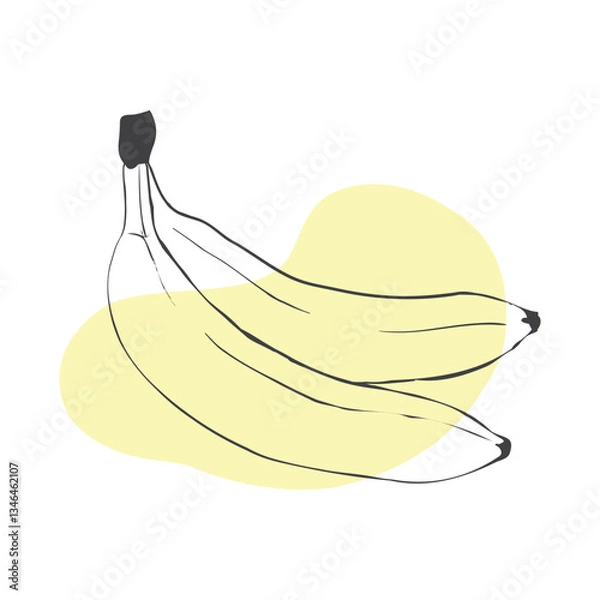 Fototapeta Bananas outline isolated on white background. Banana fruit sketch. Vector illustration