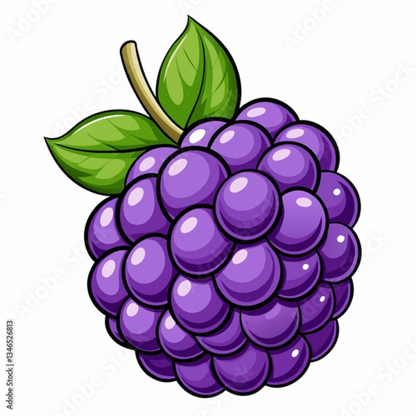 Fototapeta vector illustration of blackberry