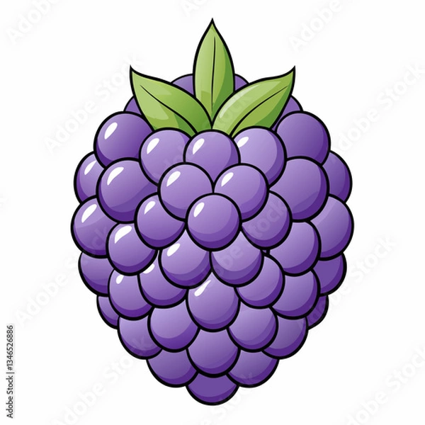 Fototapeta vector illustration of blackberry
