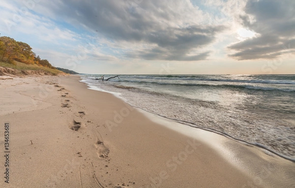 Obraz Footprints in the sand