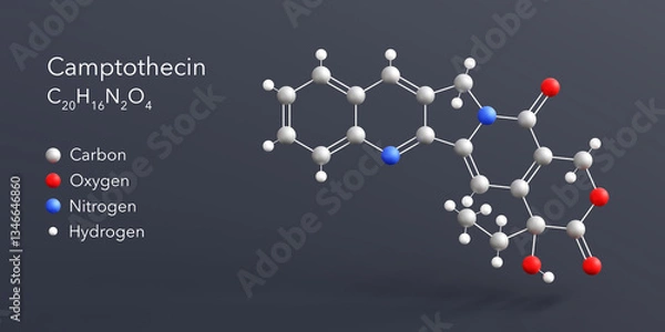 Fototapeta camptothecin molecule 3d rendering, flat molecular structure with chemical formula and atoms color coding