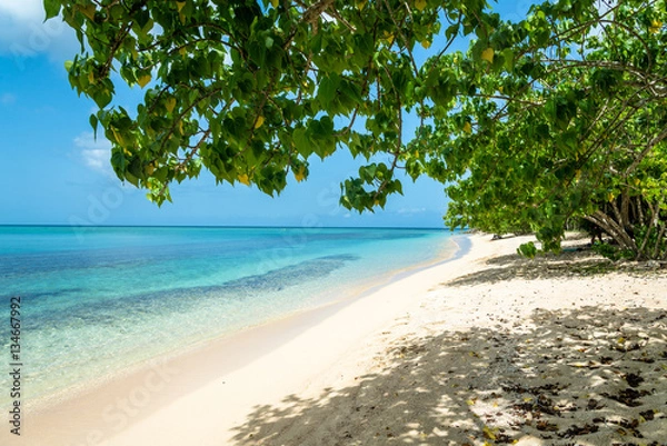 Obraz Beach "La Plage du Souffleur", Guadeloupe