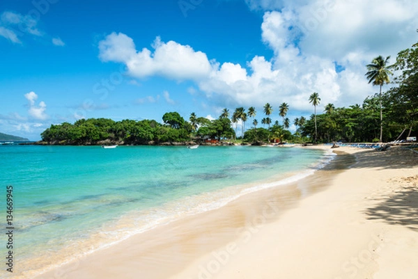 Obraz Beach of "Playa Rincon"
