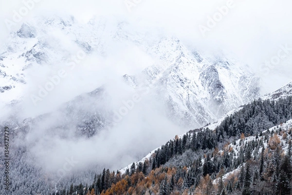 Fototapeta snow and fog covered mountains in winter in western Sichuan of China

