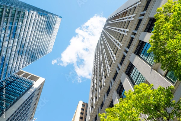 Fototapeta オフィスビル