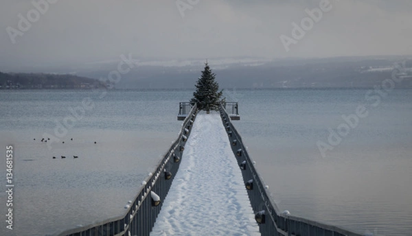 Obraz Christmas tree on the pier