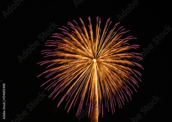 Fototapeta 日本の花火