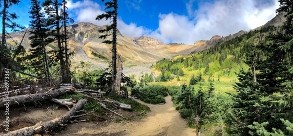 Fototapeta hiking trail, Burroughs Mountain Trail, in cascade mountain pine forest into Glacier Basin Mount Rainier National Park