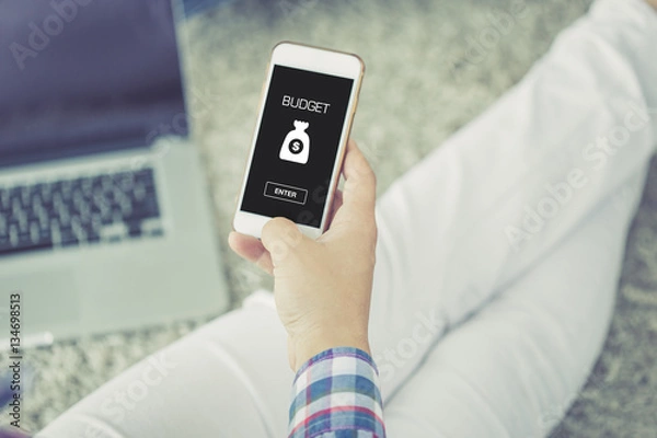 Obraz BUDGET CONCEPT