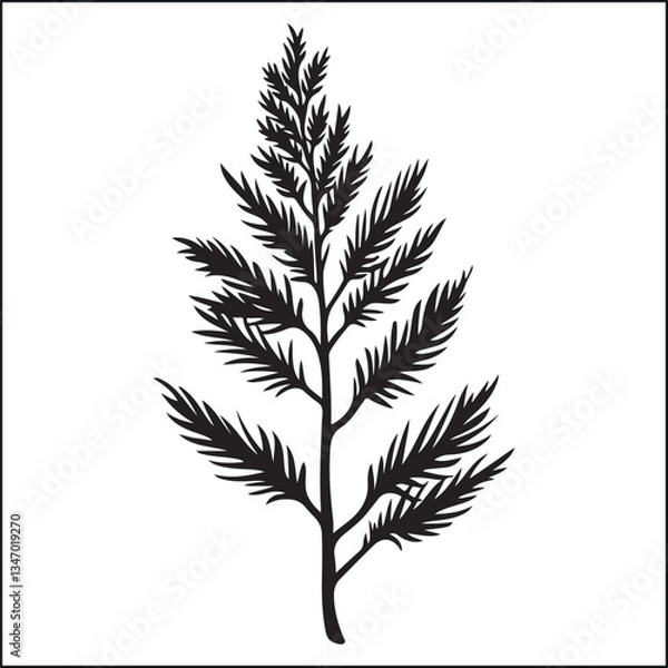 Obraz pine leaf silhouette