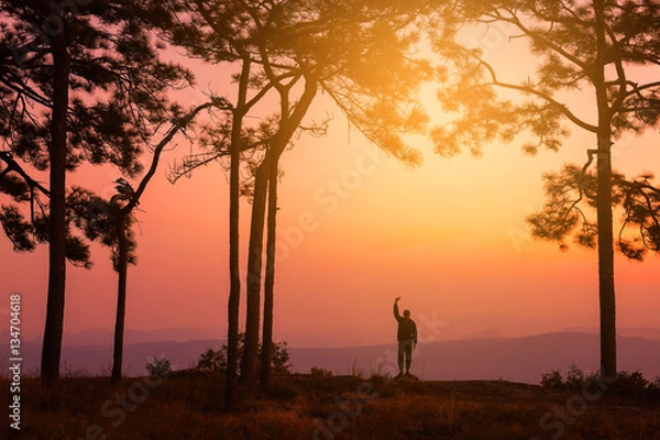 Fototapeta Silhouette of Happy hiker with raised hands in pine forest with