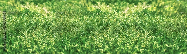 Obraz Dew drops on grass, dew drops illuminated by sunlight, beautiful nature in meadow, green grass background