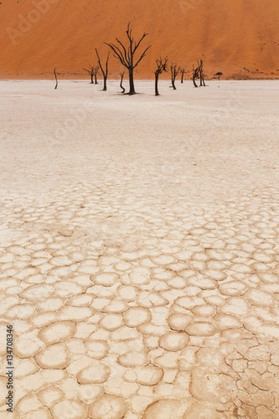 Obraz The desert landscape
