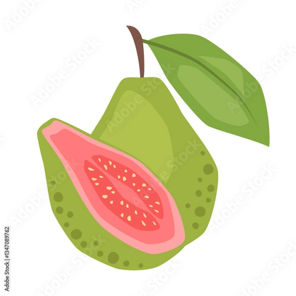 Obraz Vector isolated whole guava with half guava