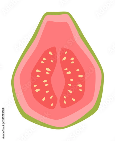 Obraz Vector isolated simple half guava illustration