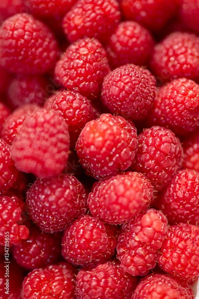 Fototapeta red raspberries background