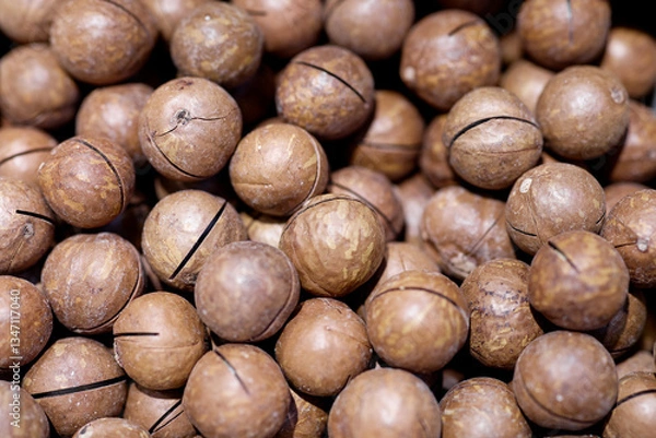 Fototapeta close up of hazelnuts