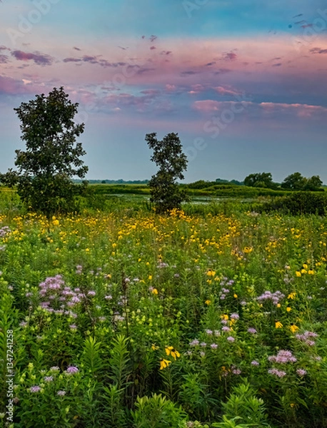 Obraz 697-47 Wildflower Sky