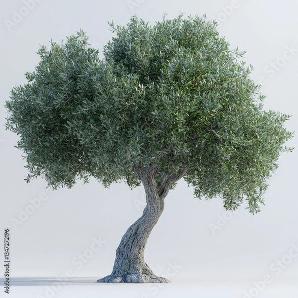 Fototapeta A realistic 3D-rendered olive tree with a gnarled, textured trunk and a full canopy of silvery-green leaves. The tree is rooted in a rocky base, surrounded by moss, and set against a clean white backg