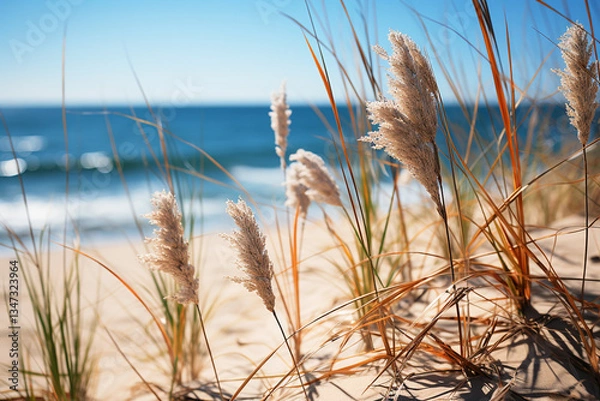 Obraz breathtaking beauty of coastal paradises, where fusion of sun kissed shores and undulating dunes creates a tapestry that celebrates enchanting bond between earth and ocean