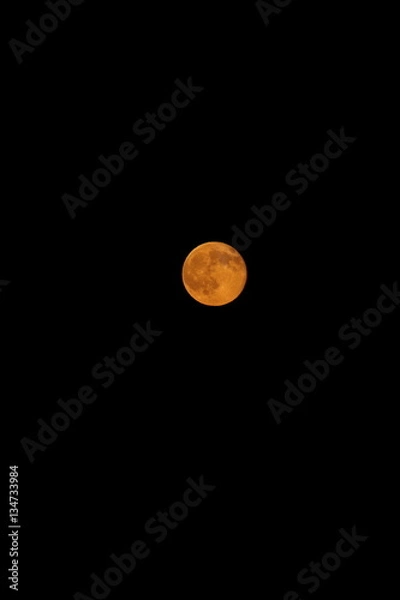 Fototapeta orange autumn full moon lunar eclipse