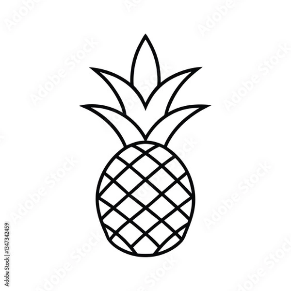 Fototapeta pineapple vector illustration