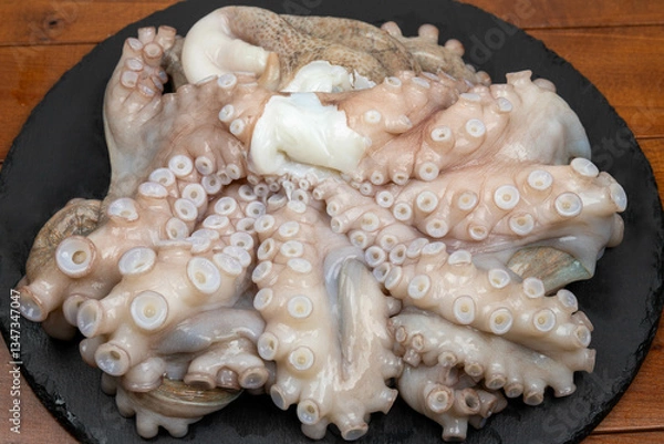 Obraz Raw octopus on the plate