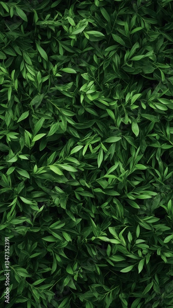 Fototapeta A lush, dense arrangement of vibrant green leaves creating a natural, organic texture for a high-quality phone wallpaper.

