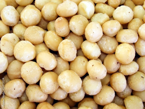 Obraz Macadamia Background