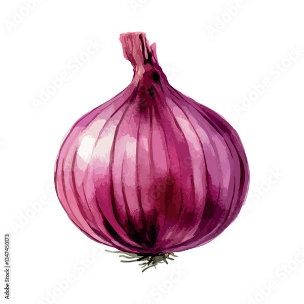 Obraz Large red onion with a stem. The stem is visible at the top of the onion.