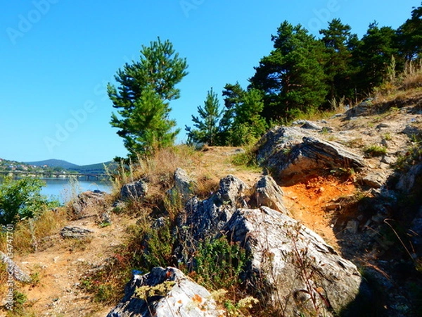 Fototapeta природа лес река берег