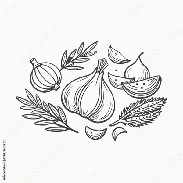 Fototapeta Garlic Collection A Culinary Sketch of Aromatic Bulbs. hand drawn set of garlic. Herbs and spices sketch illustration
