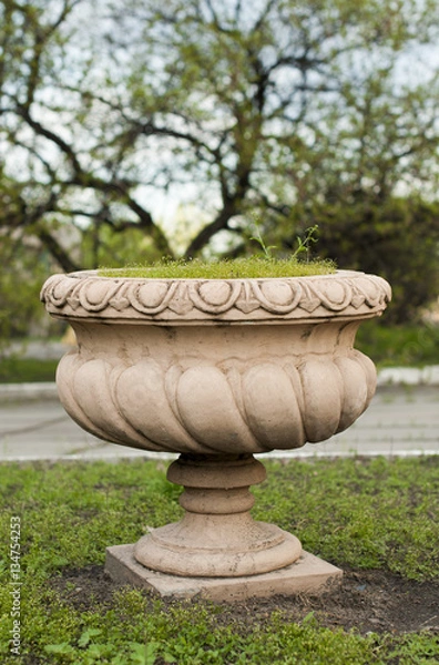 Obraz  decorative flowerpot with grass