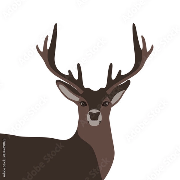 Obraz deer vector illustration