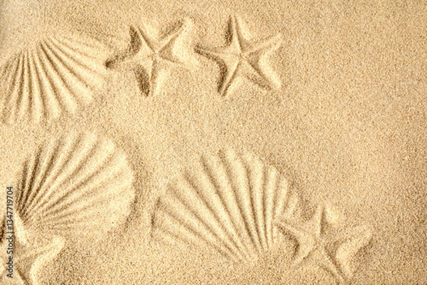 Fototapeta Top view of a sandy beach. Sand background. Imprints of mollusks and starfish in the sand.