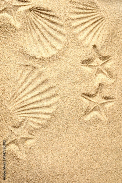 Obraz Top view of a sandy beach. Sand background. Imprints of mollusks and starfish in the sand.