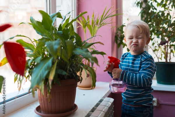 Fototapeta Child watering flowers with red watering can in the room
